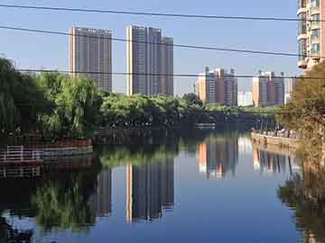 哪里可以学习seo技术（seo去哪里学比较好）